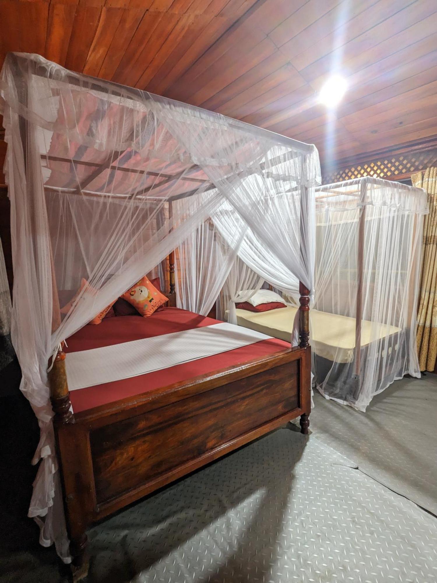 Little Pumpkin Cabanas Tangalle Bilik gambar